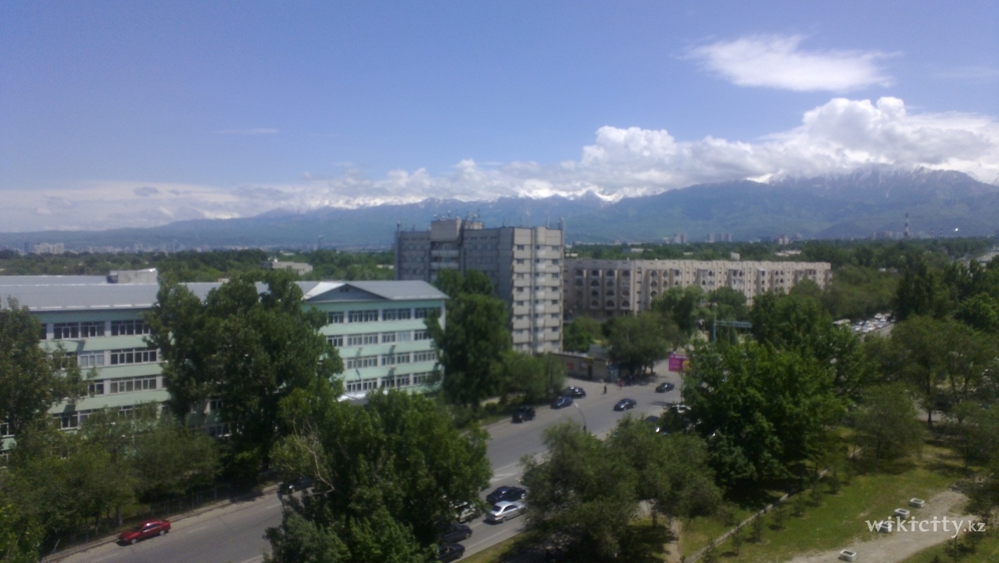 Фото Green - Алматы. Ул Саина, ул. Улугбека (Домостроительная)