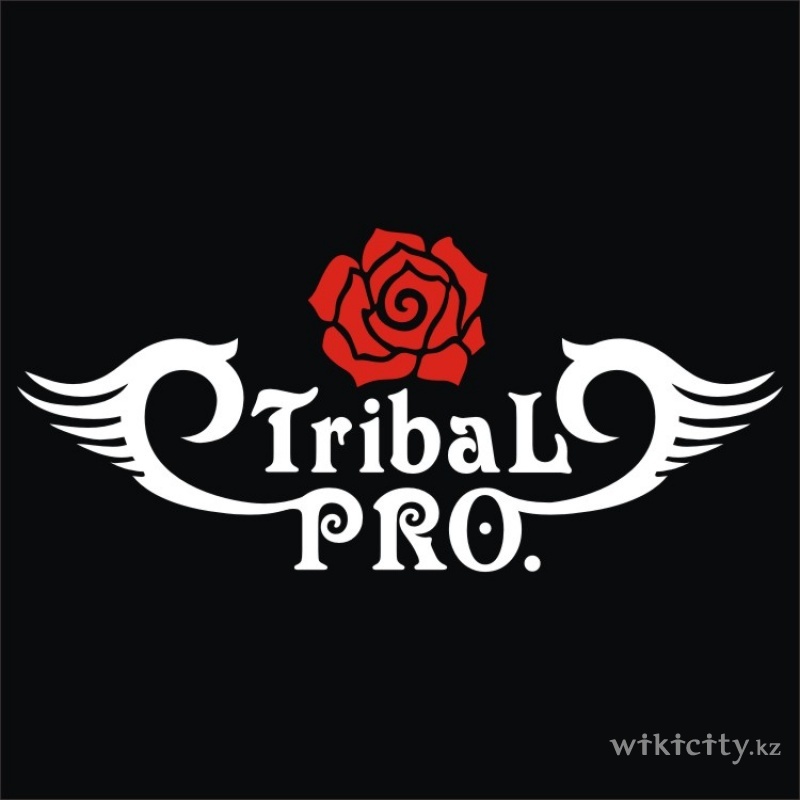 Фото Tribal PRO - Алматы. Трайбл в Казахстане
Танцы в Алмате