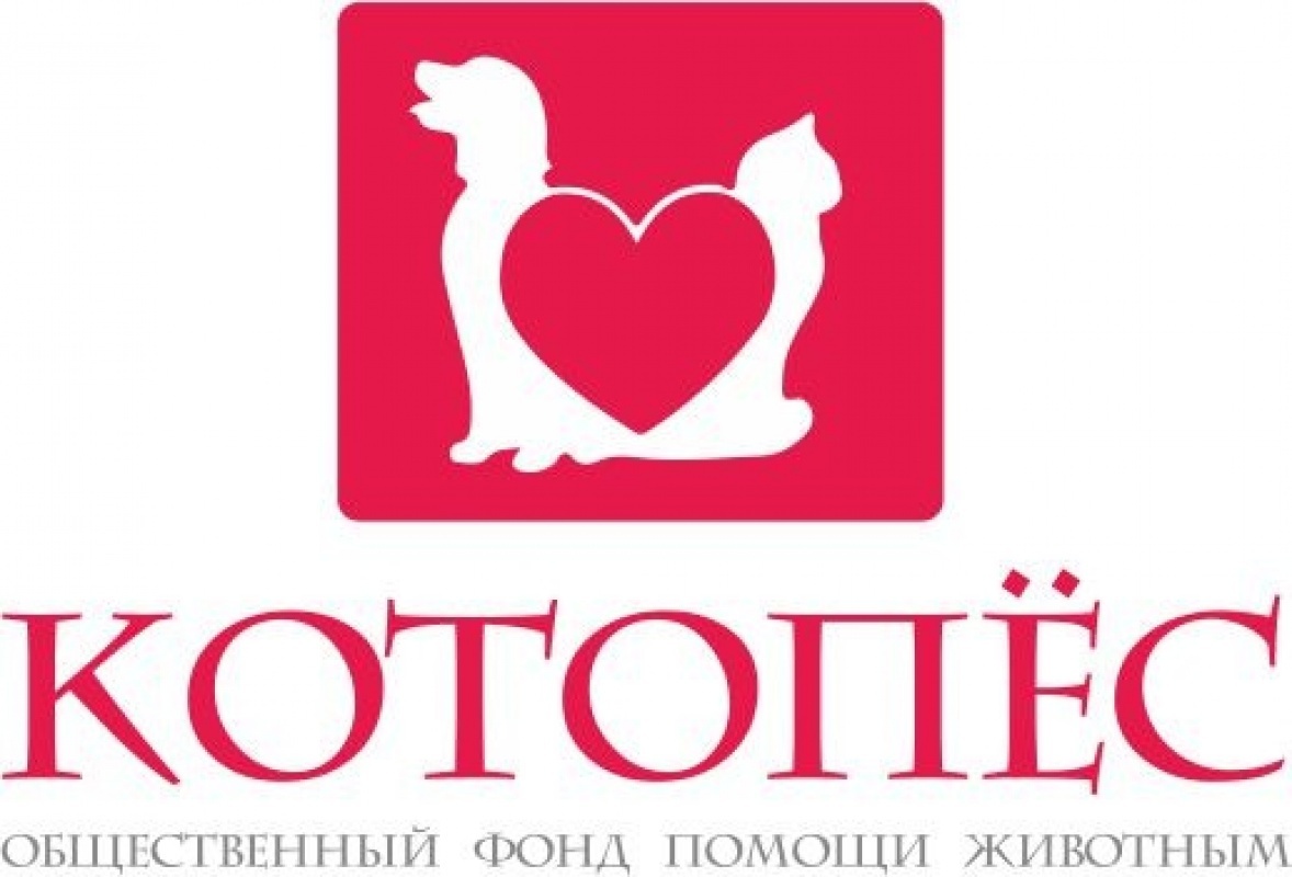 Фото КотоПёс - Алматы. лого
