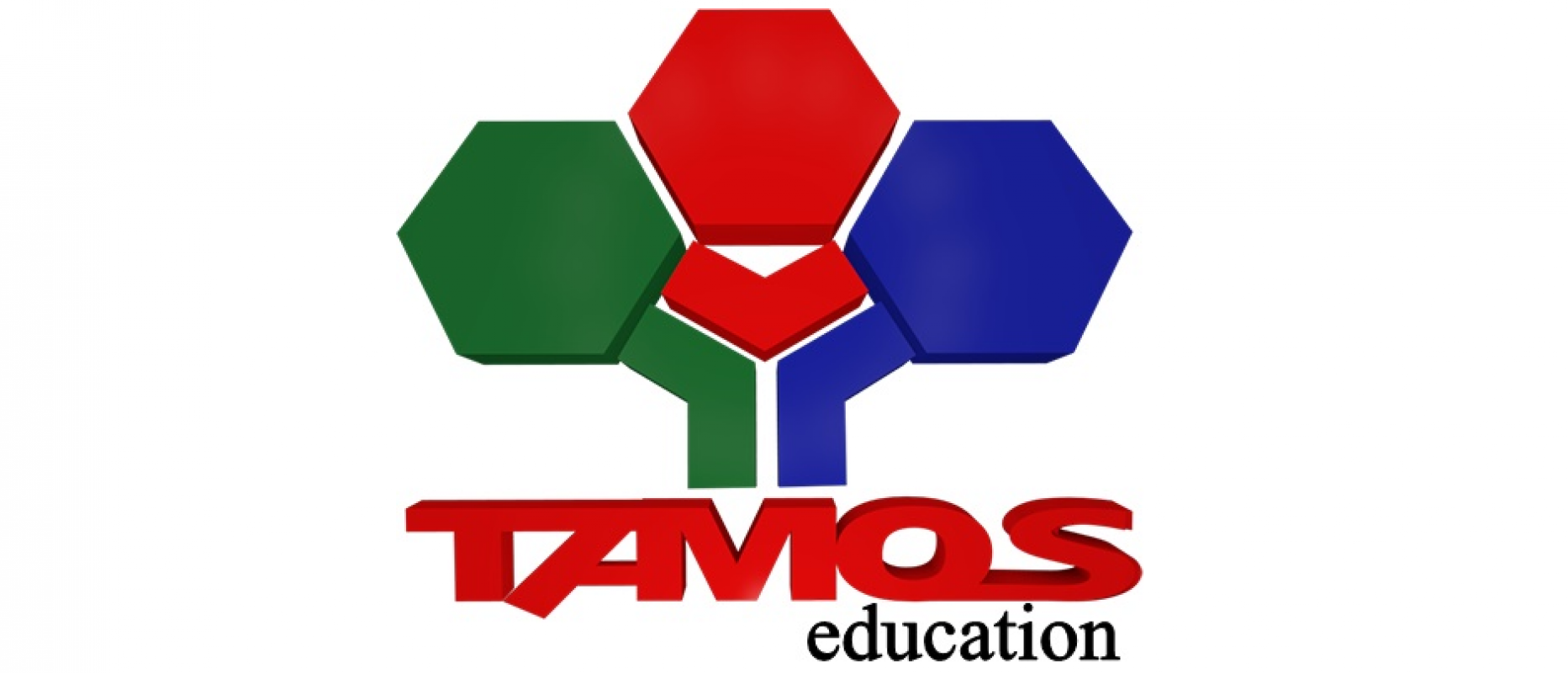 Фото Tamos Education физико-математическая школа Almaty. 