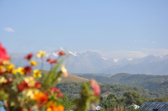 Фото Panorama - Алматы. Вид на горы