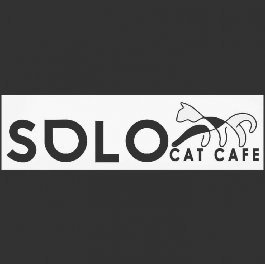 Фото Solo Cat Cafe - Алматы