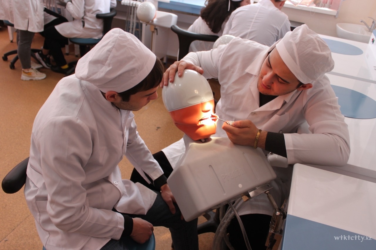 Стоматологический колледж после 9 класса. Стоматологический колледж. Стоматологический колледж №1. Стоматологический колледж Новосибирск. Рузуддинова колледж в Алматы.