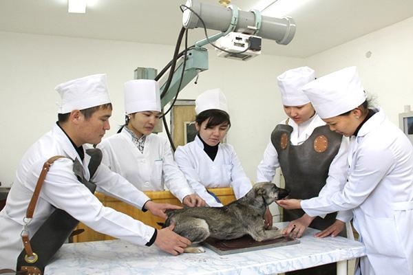 Фото Евразийский аграрный колледж - Алматы