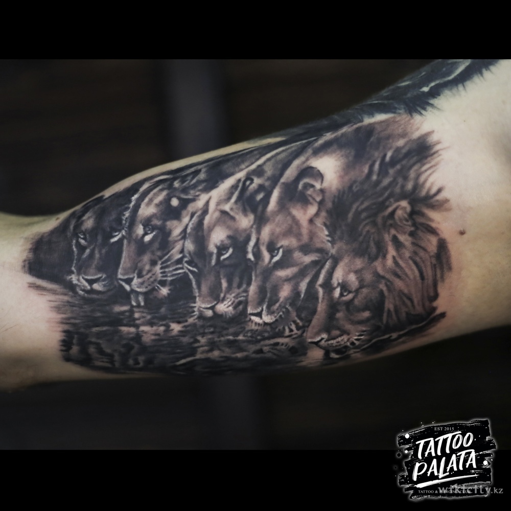 Фото Tattoo Palata - Алматы