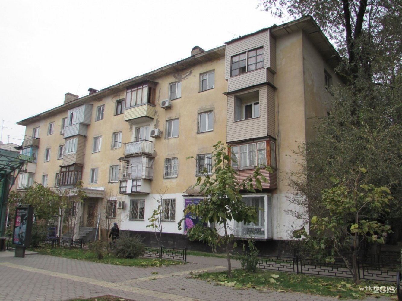 Фото VetHelp.kz Алматы. 