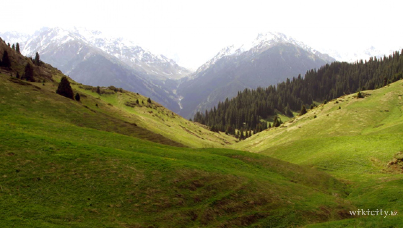 Фото Oi-Qaragai Lesnaya Skazka Mountain Resort - Almaty