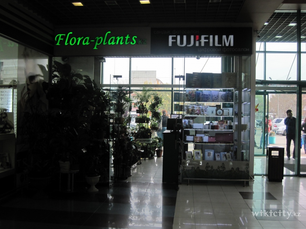 Фото Flora Plants Almaty. 