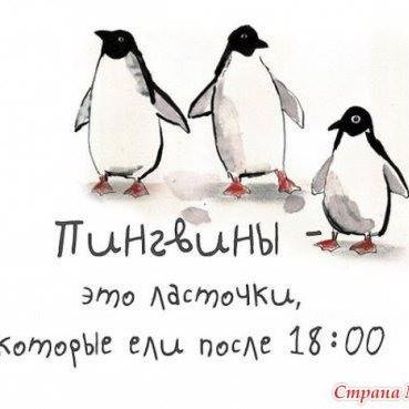 Зарина С.