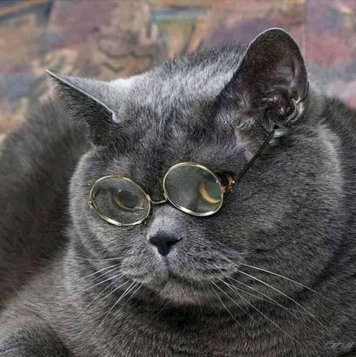 Евгений Г.