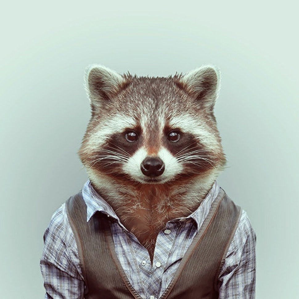 Andrew R.