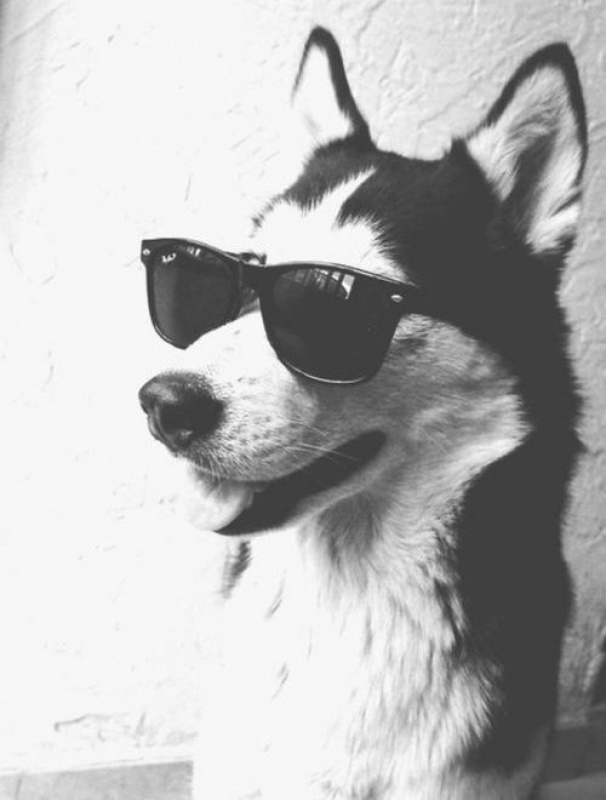 Самый Самый!