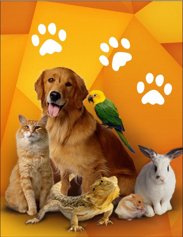 Зоомагазин "Феникс"