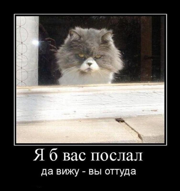 Асель В.