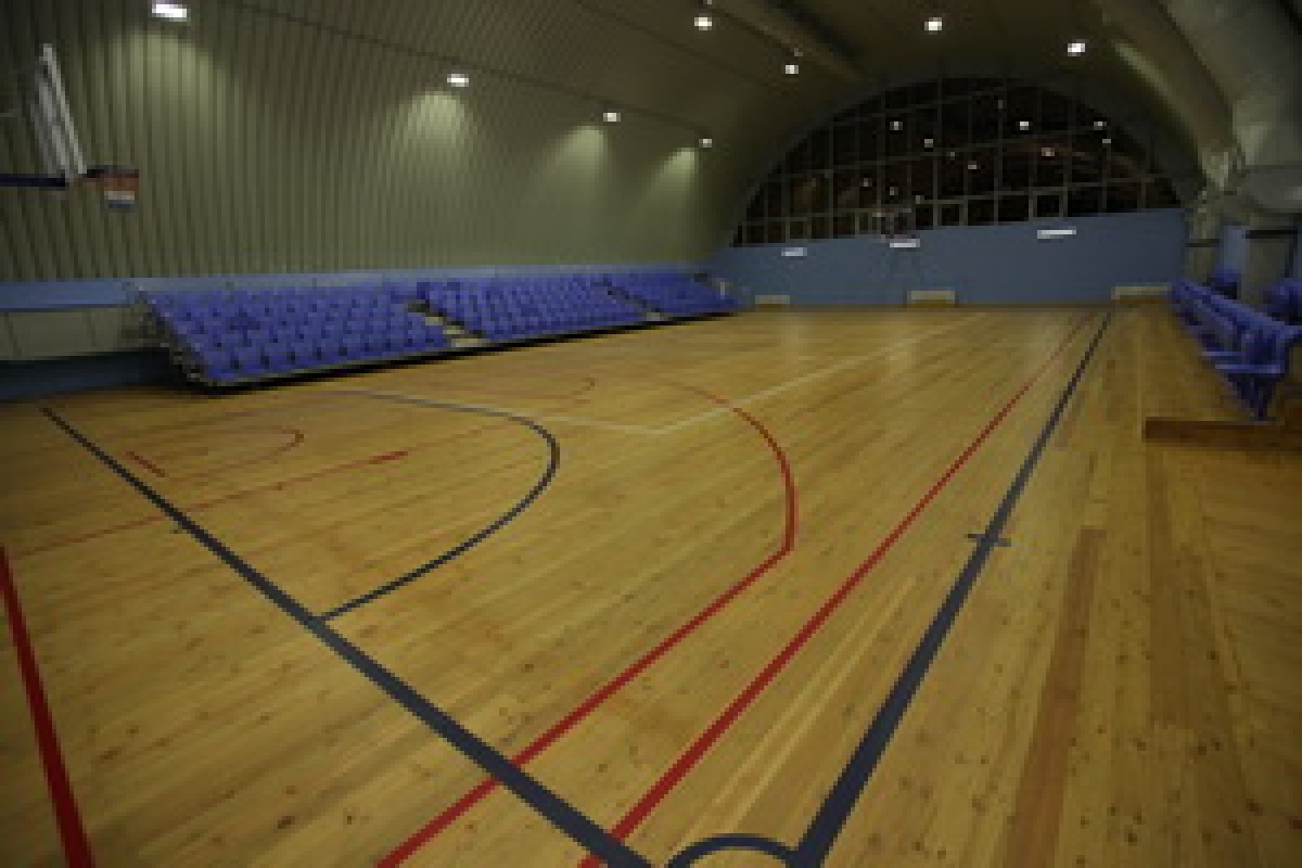 Зал игровых видов спорта (волейбол, баскетбол, мини-футбол)