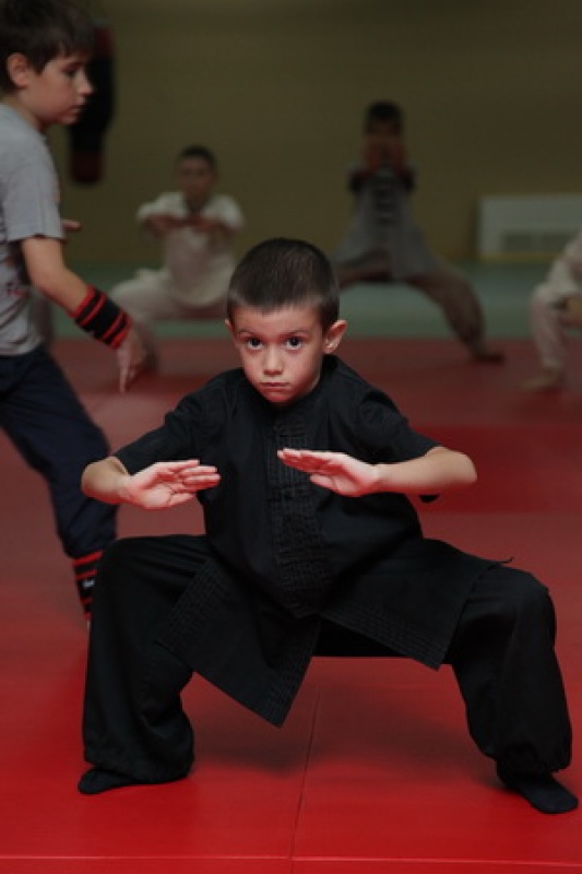 Тренировка Кунг-фу