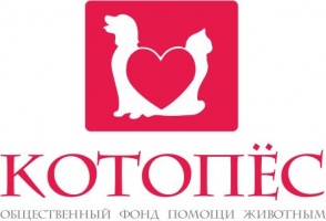 Фото КотоПёс Almaty. лого
