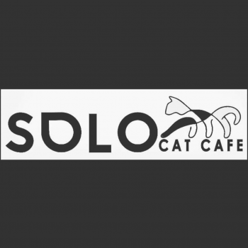 Фото Solo Cat Cafe Алматы. 