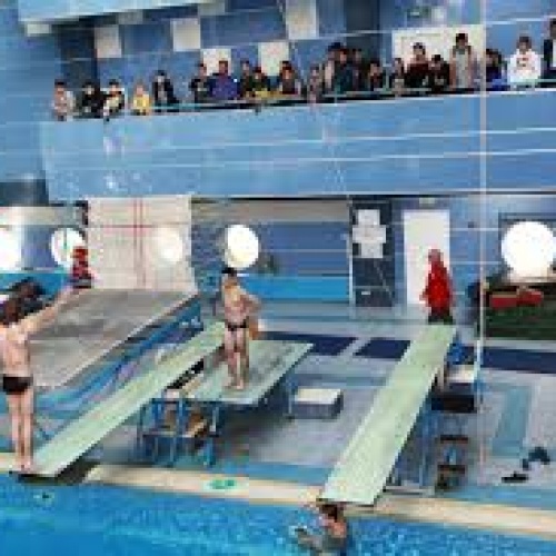 Фото Республиканский колледж спорта Алматы. Прыжки в воду - РКС