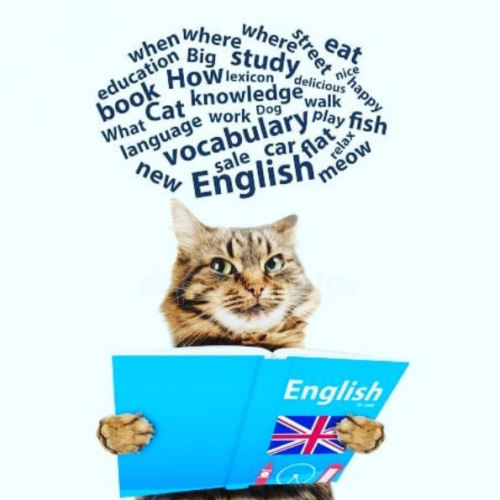 Фото School of English Алматы. 