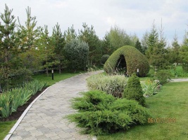 Фото Нескучный сад Almaty. 8-701-343-31-55, 8-777-026-14-24 Нескучный сад, озеленение  