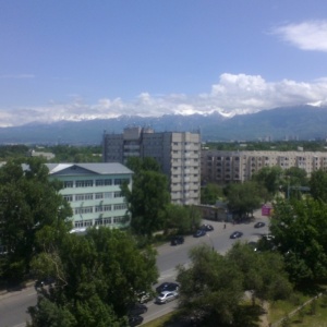 Фото Green - Ул Саина, ул. Улугбека (Домостроительная)