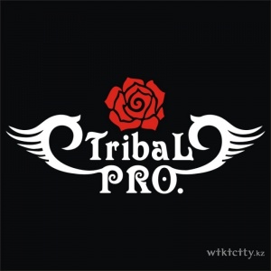 Tribal PRO
