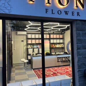 Pion.kz