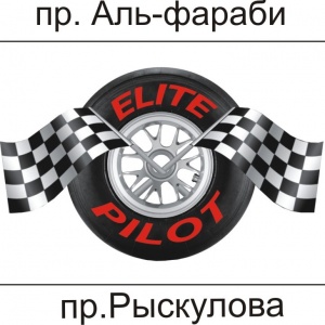 Elite Pilot