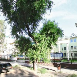 Алматинский Казахско-Турецкий гуманитарно-технологический колледж