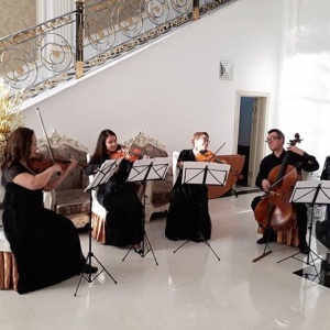 Фото Sultan Hall Almaty - Музыканты в холле