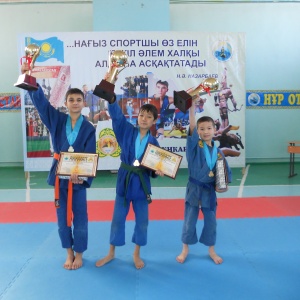 Фото Каратэ до Шотокан WKF