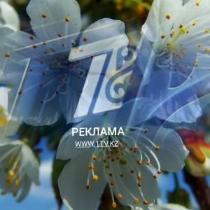 Фото Первый канал Евразия - Первый Канал Евразия. Заставка рекламы (Весна 2019)