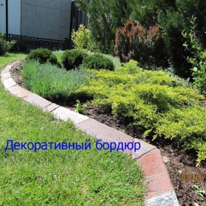 Фото Нескучный сад - 8-701-343-31-55, 8-777-026-14-24 Нескучный сад, озеленение  