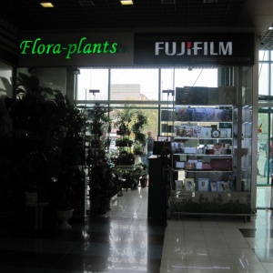 Flora Plants