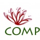 ML company - Almaty